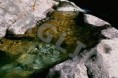 /album/galeria-paglio/a06-bystrina-1-jpg/